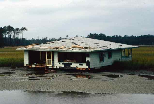 Pawleys Island (Wes Tyler)